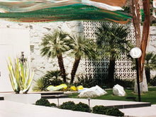 Load image into Gallery viewer, Cacti Paradise (11&#39;&#39; x 17&#39;)
