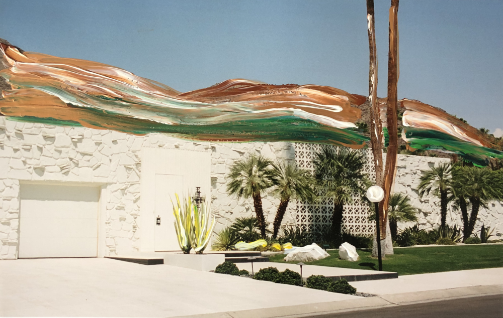 Cacti Paradise (11'' x 17')