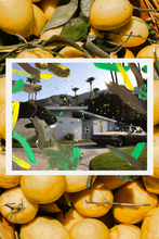 Load image into Gallery viewer, Palm Springs Playtime (10&#39;&#39; x 8&#39;&#39;)
