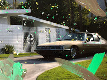 Load image into Gallery viewer, Palm Springs Playtime (10&#39;&#39; x 8&#39;&#39;)
