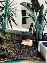 Load image into Gallery viewer, Summer Jam IV (12&#39;&#39; x 15&#39;&#39;)
